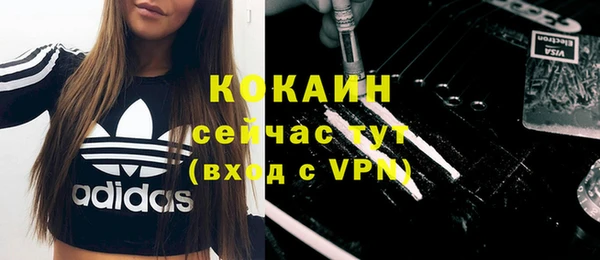 прущая мука Дмитриев