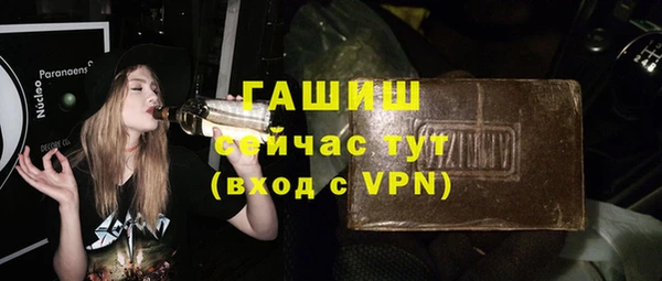 apvp Гусев