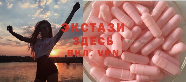 apvp Гусев