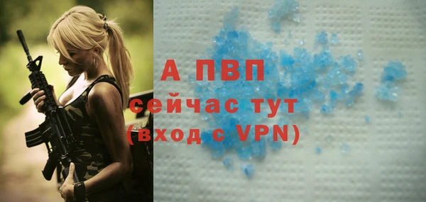 мяу мяу мука Гусь-Хрустальный