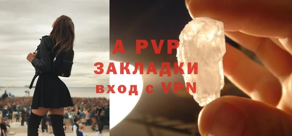 apvp Гусев