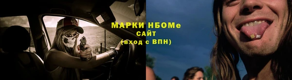 apvp Гусев