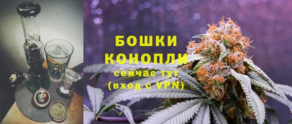 мяу мяу мука Гусь-Хрустальный