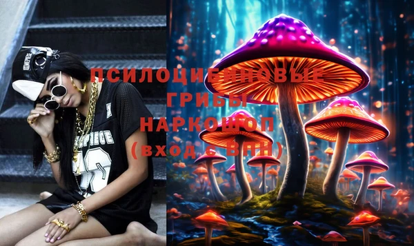 apvp Гусев