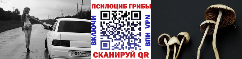 Псилоцибиновые грибы мицелий Железногорск-Илимский